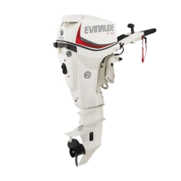 Evinrude E30DGTL E TEC Outboard Motor